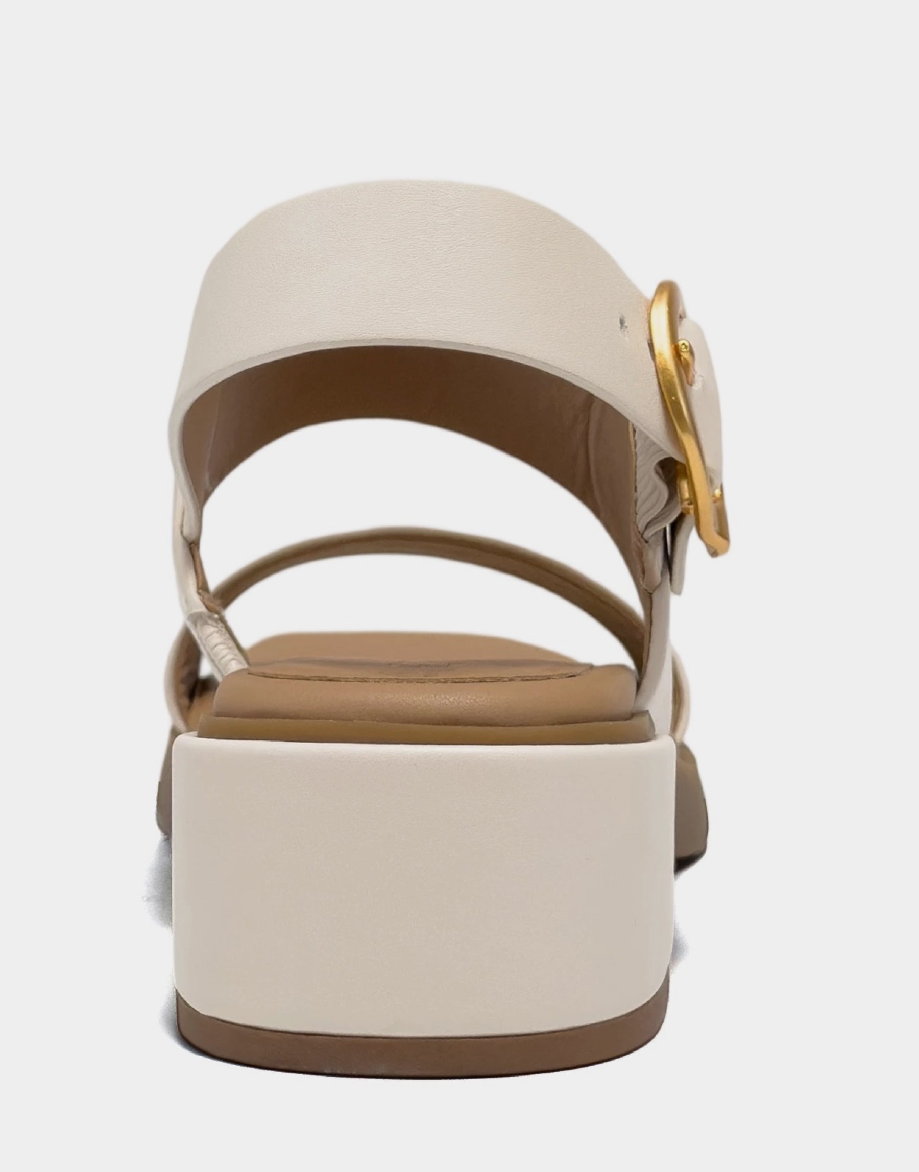 Dove - Image 3