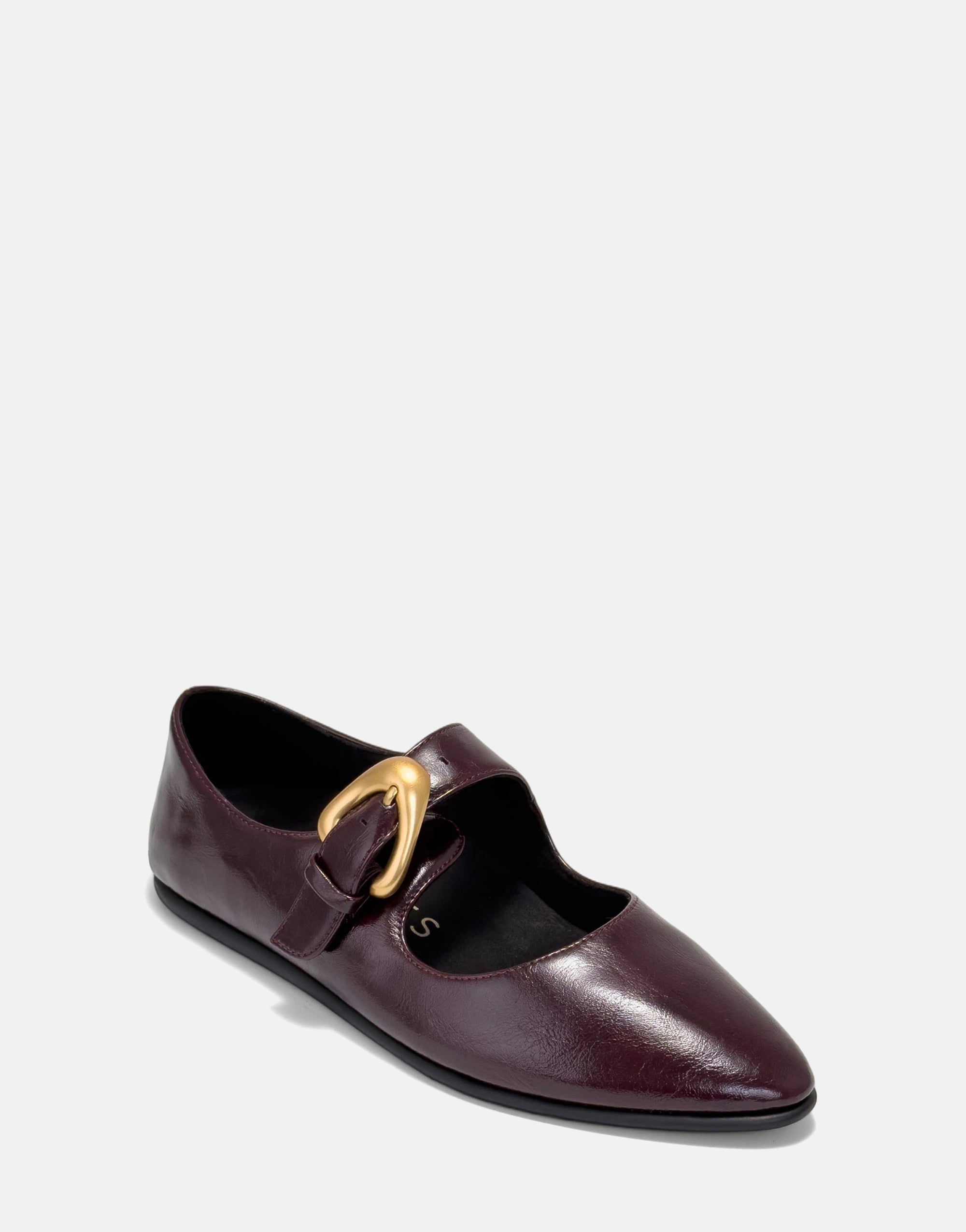 Paylor - Image 2