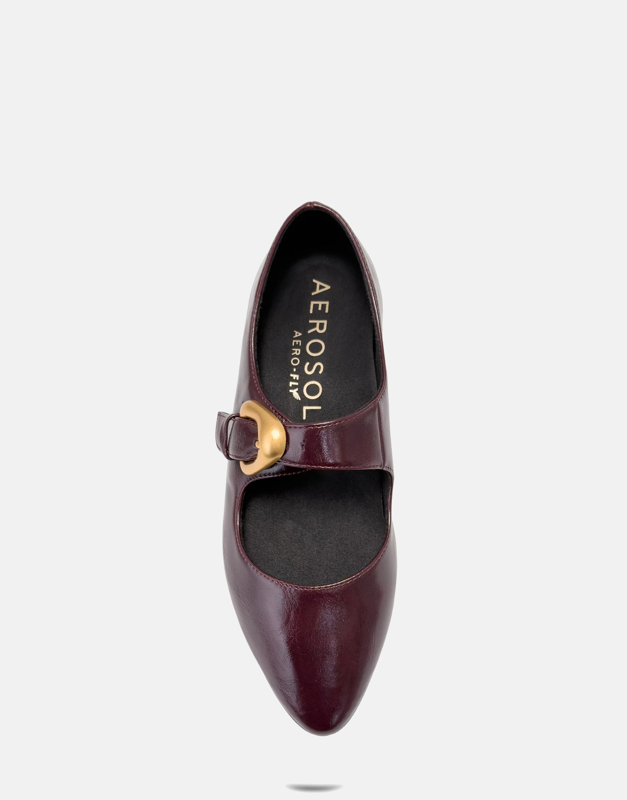 Paylor - Image 4