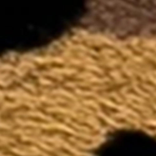 Pearl - Image 7