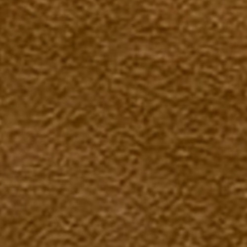 Rana - Image 6