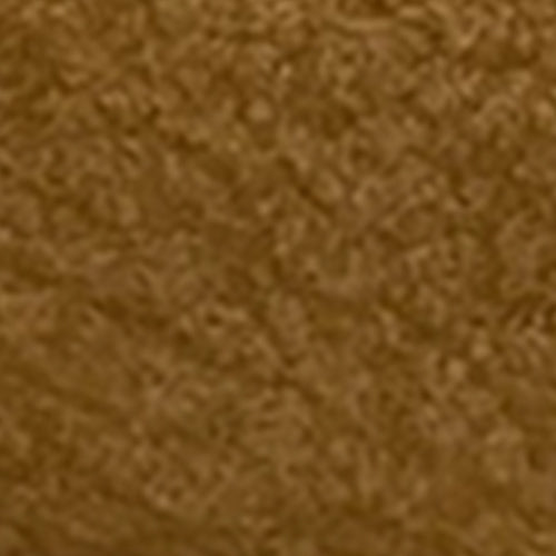 Ravi - Image 6