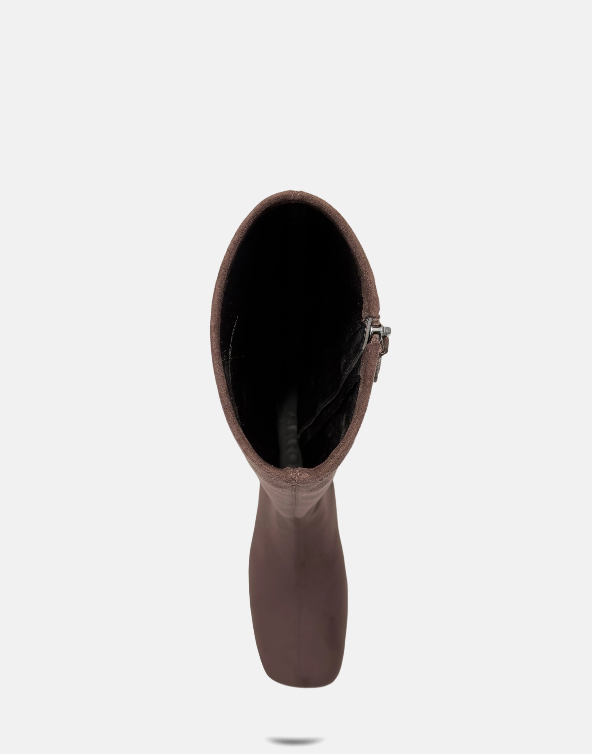 Sasha - Image 4